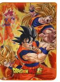 MANTA BATTLE OF GODS GOKU STATES DRAGON BALL SUPER 100 X 150 CM