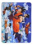 MANTA UNIVERSE SURVIVAL HEROES FLIGHT DRAGON BALL SUPER 100X150 CM