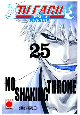 BLEACH BESTSELLER 25