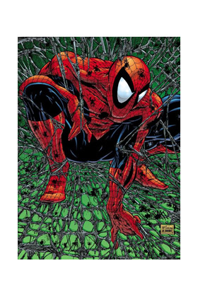 MARVEL MUST-HAVE. SPIDERMAN: TORMENTO
