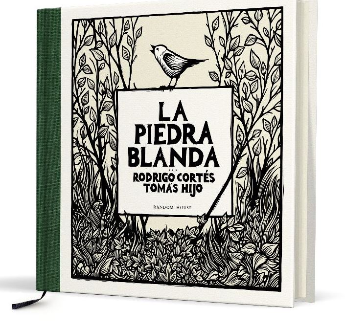 LA PIEDRA BLANDA